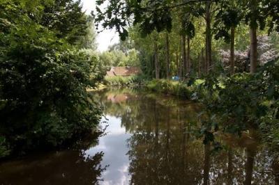 foto bij activiteit