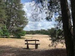 ZO 08/03/26 Wandelen naar Bergen op Zoom (NL) (12 km) 