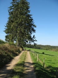 Hoe ziet ons weekend eruit?