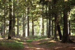 Voor de wandelaars: