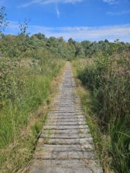 ZO 20/09/26 Landschapswandeling 'De Liereman' (19 km waarvan 15,9 km onverhard) Oud-Turnhout 