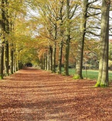 ZO 11/10/26 Wandeling 's Gravenwezel (� 8 km) Enkel Oeverleden! 