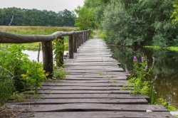 ZO 08/11/26 Natuurwandeling 'De Pannenhoef' te Zundert (20 km waarvan 17,5 km onverhard)